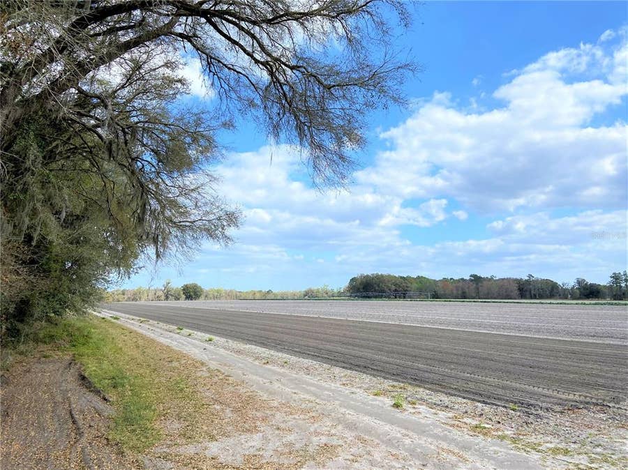 Property photo for 24103 NW COUNTY ROAD 239, Alachua, FL