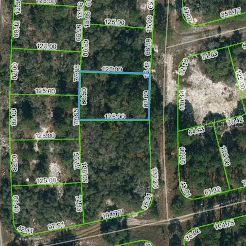 Property photo for 244 BLUE HORIZON DRIVE, Lake Placid, FL