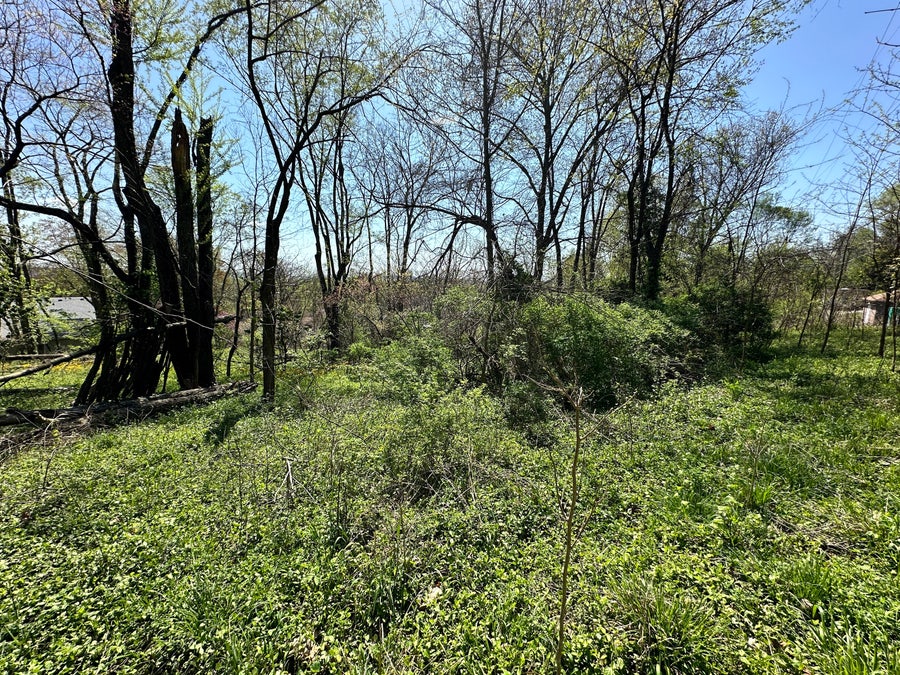 Property photo for 0 E Cunningham Street, Martinsville, IN