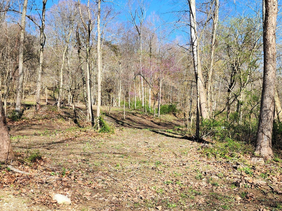 Property photo for 0 Goat Hollow Estates Lot 4, Martinsville, IN