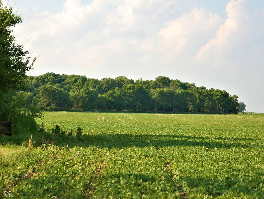 Property photo for 10188 E State Road 47, Sheridan, IN