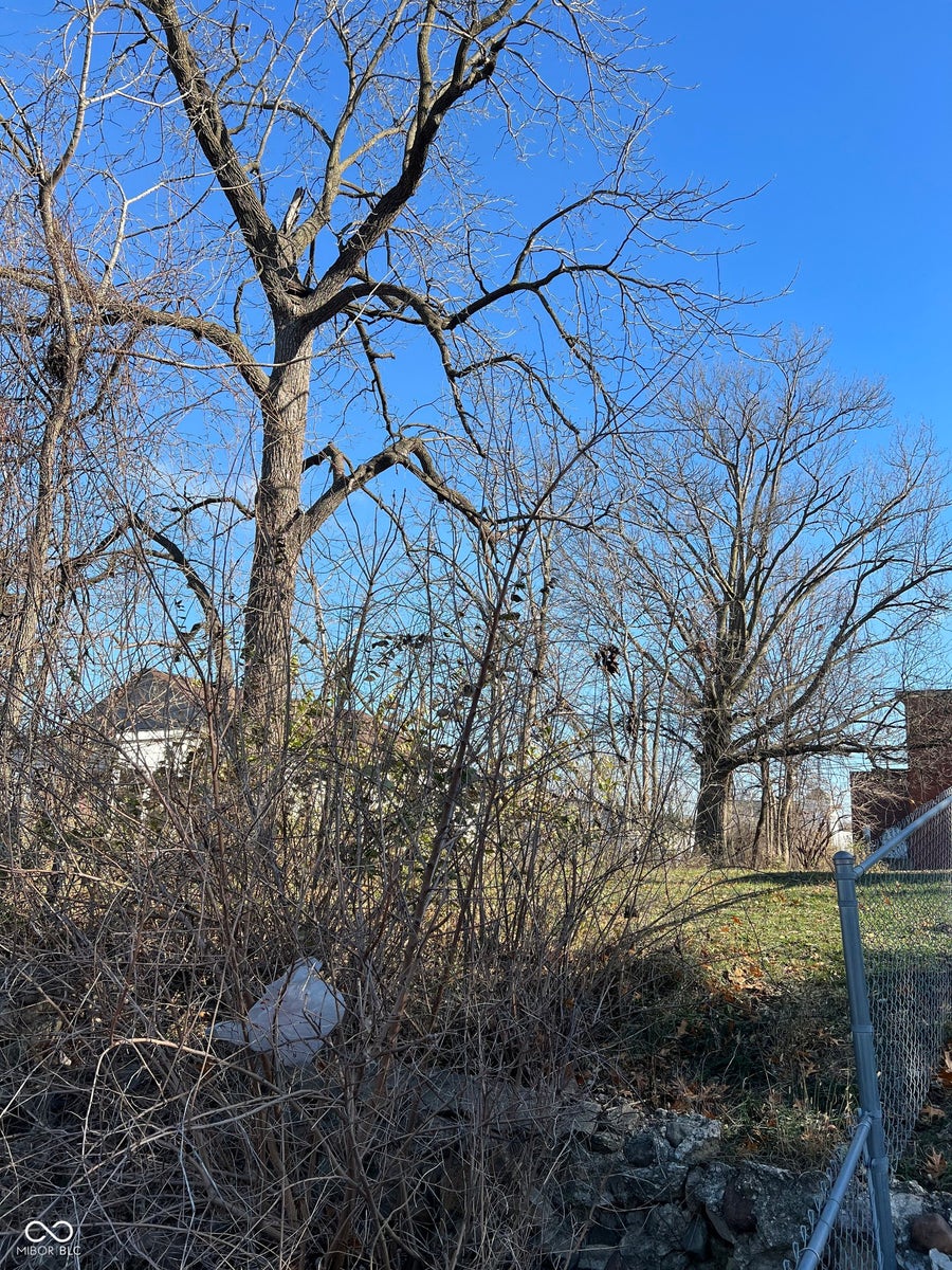 Property photo for 2057 Caroline Avenue, Indianapolis, IN