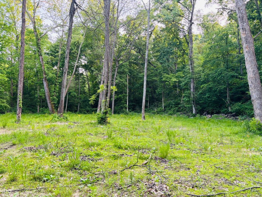 Property photo for 0 Laurel Road, Laurel, IN