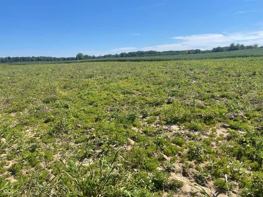 Property photo for 1 W CR 990 North Tract "G", Elizabethtown, IN