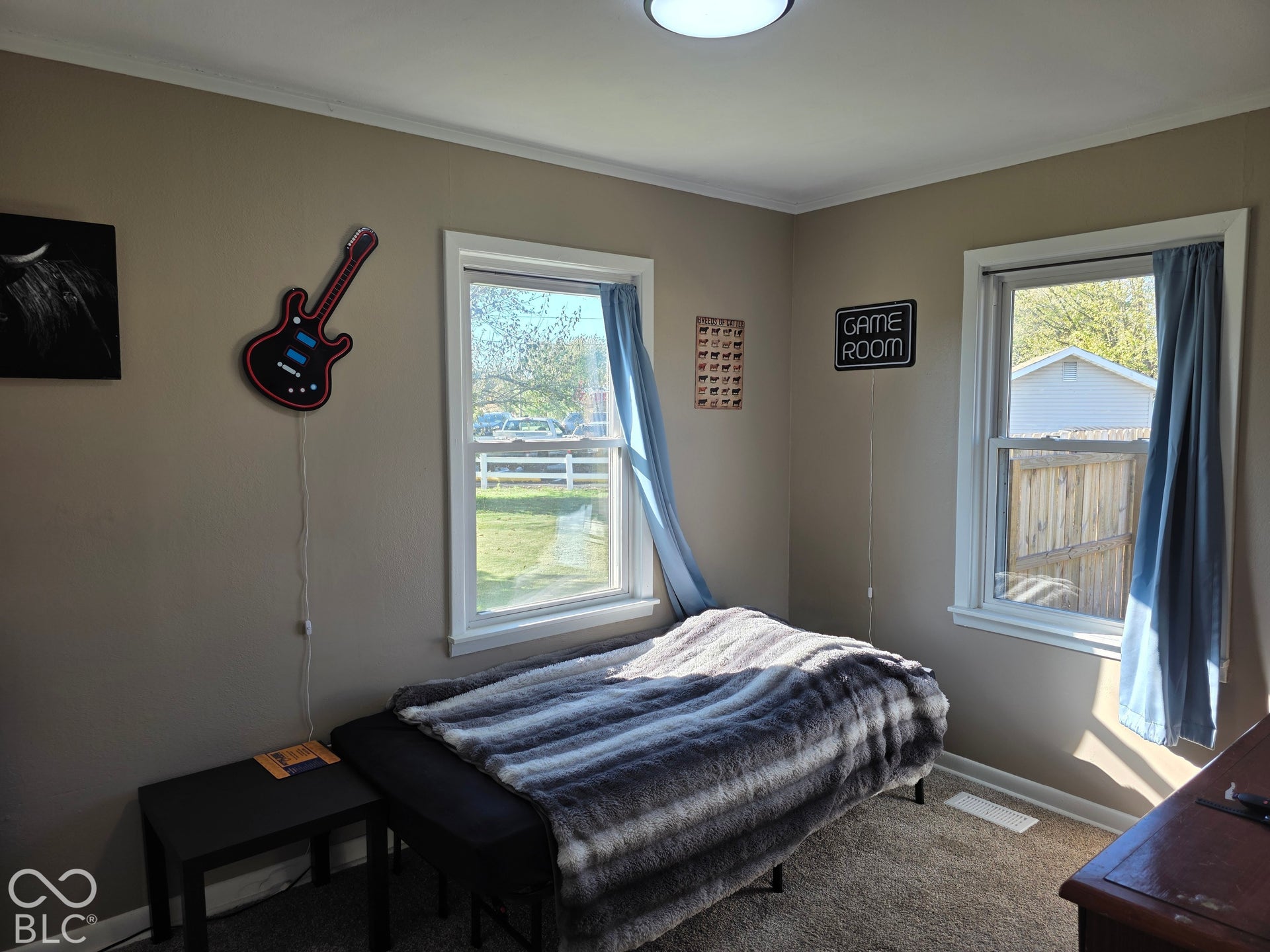 Interior room featuring neutral-toned walls, carpeting, dual windows with exterior casing, and a ceiling-mounted light fixture