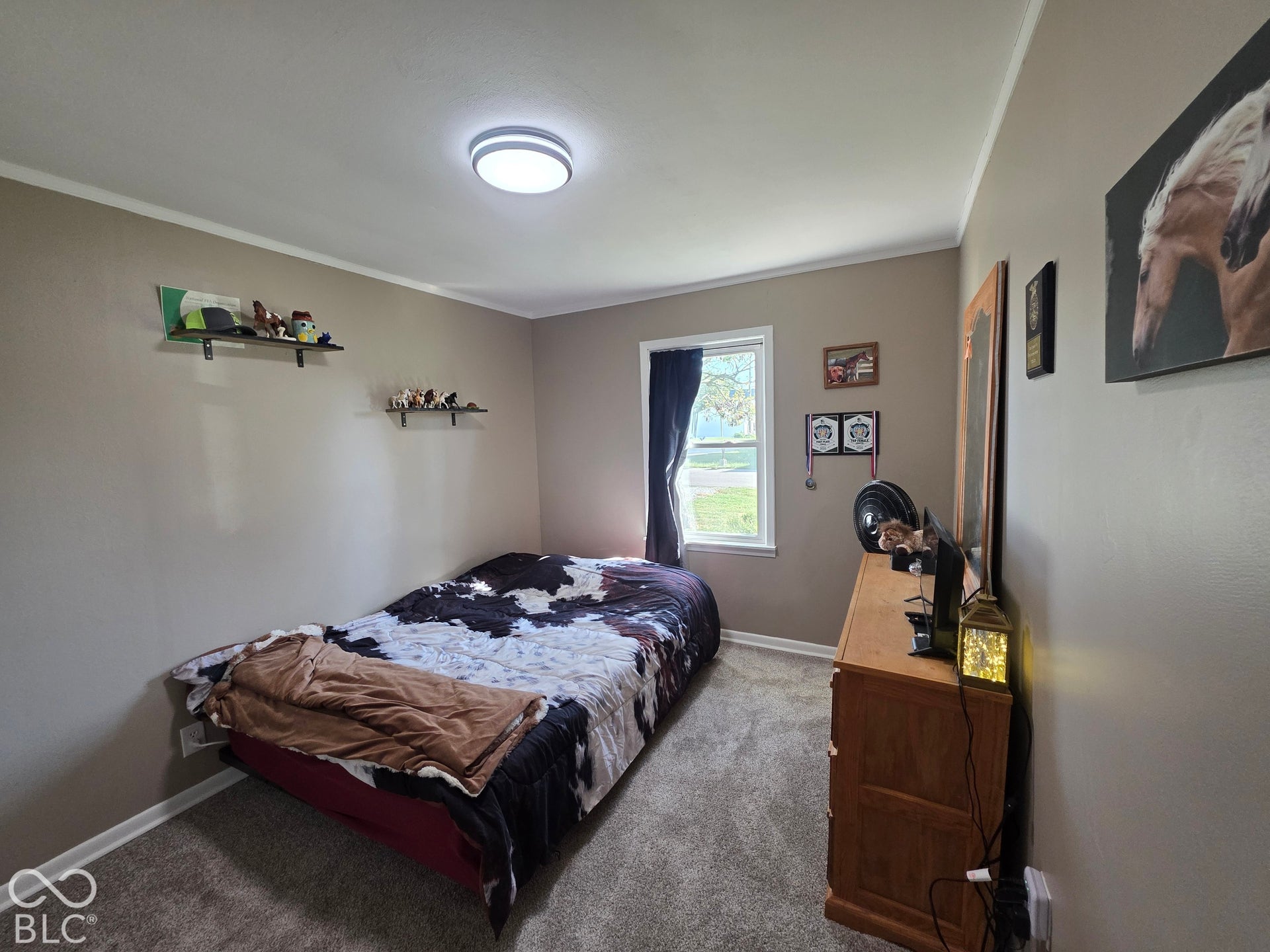 Neutral-toned walls, wall-to-wall carpeting, and a single-pane window with white trim