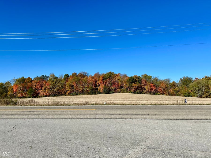 Property photo for 0 St Rd 167, Albany, IN
