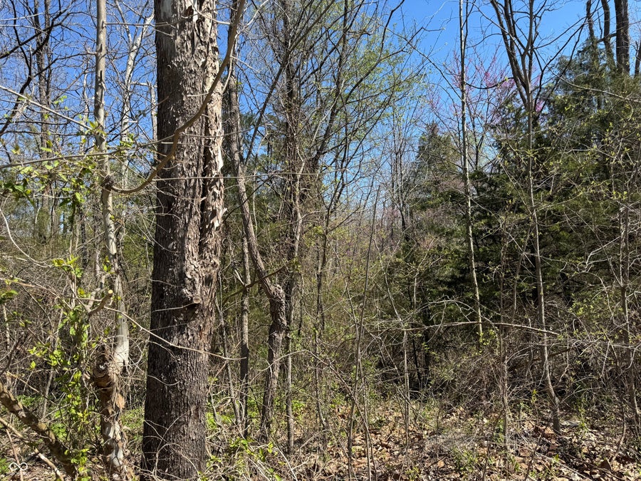 Property photo for Lot B-21 State Highway 46, Spencer, IN