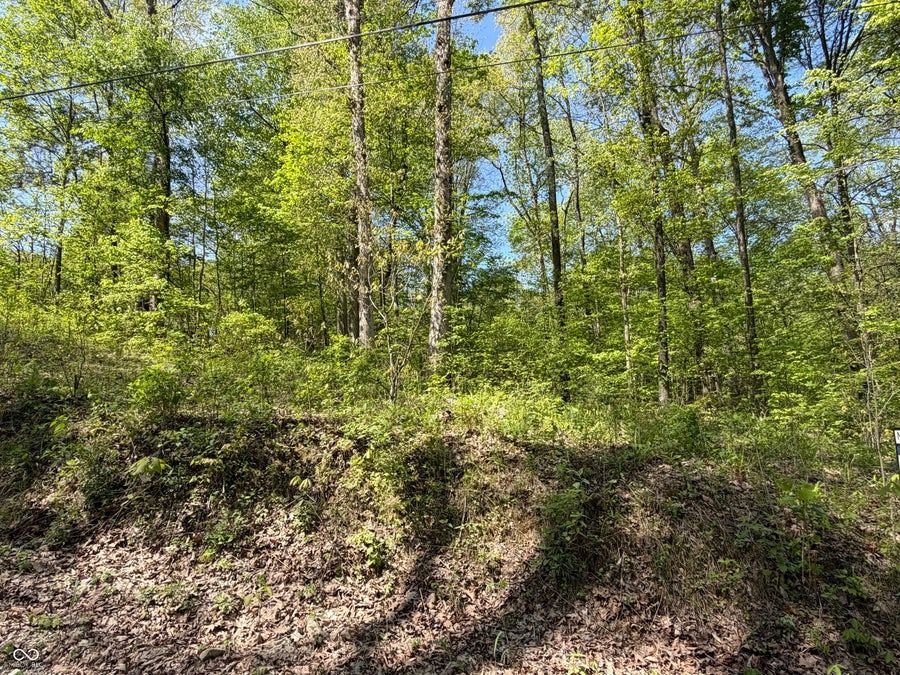 Property photo for 00 Straight Line Road, Coal City, IN
