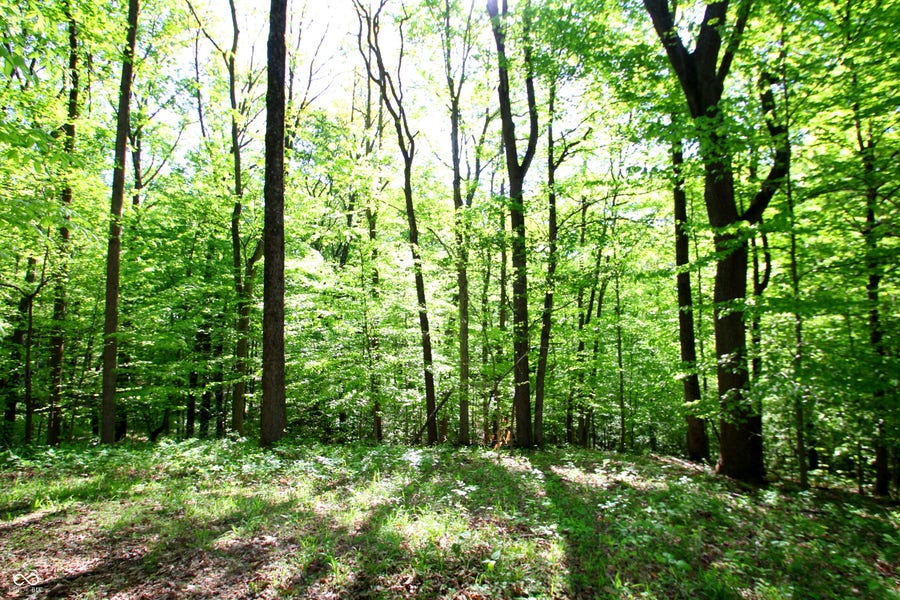 Property photo for 6349 Catfish Drive, Nineveh, IN