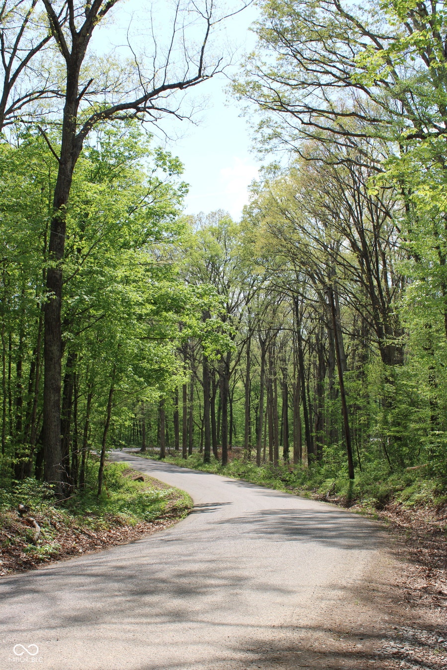 Property photo for Tract 3: 0 N County Road 555 E, Butlerville, IN