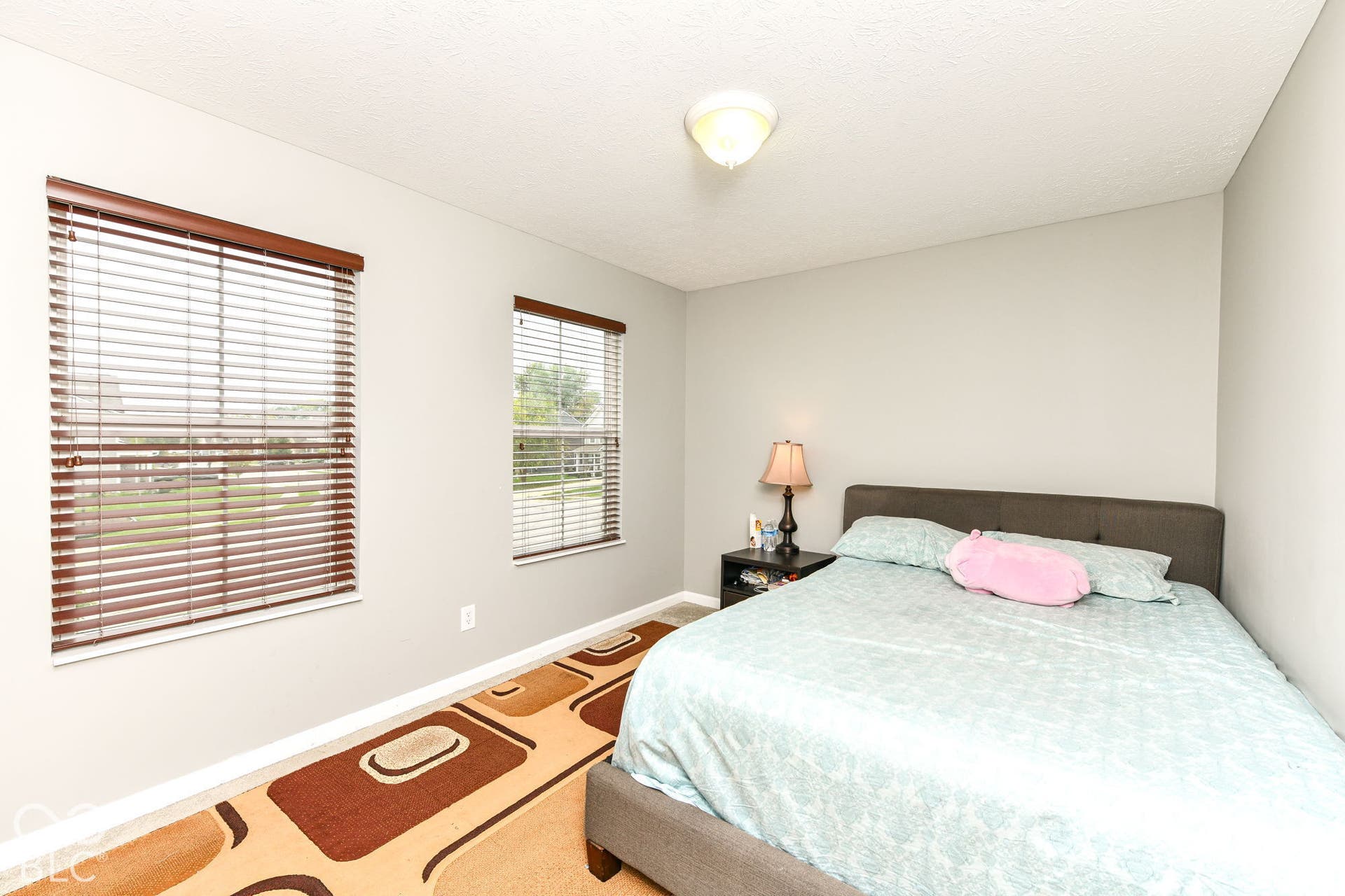 Neutral wall color, two windows with blinds, and ceiling-mounted light fixture