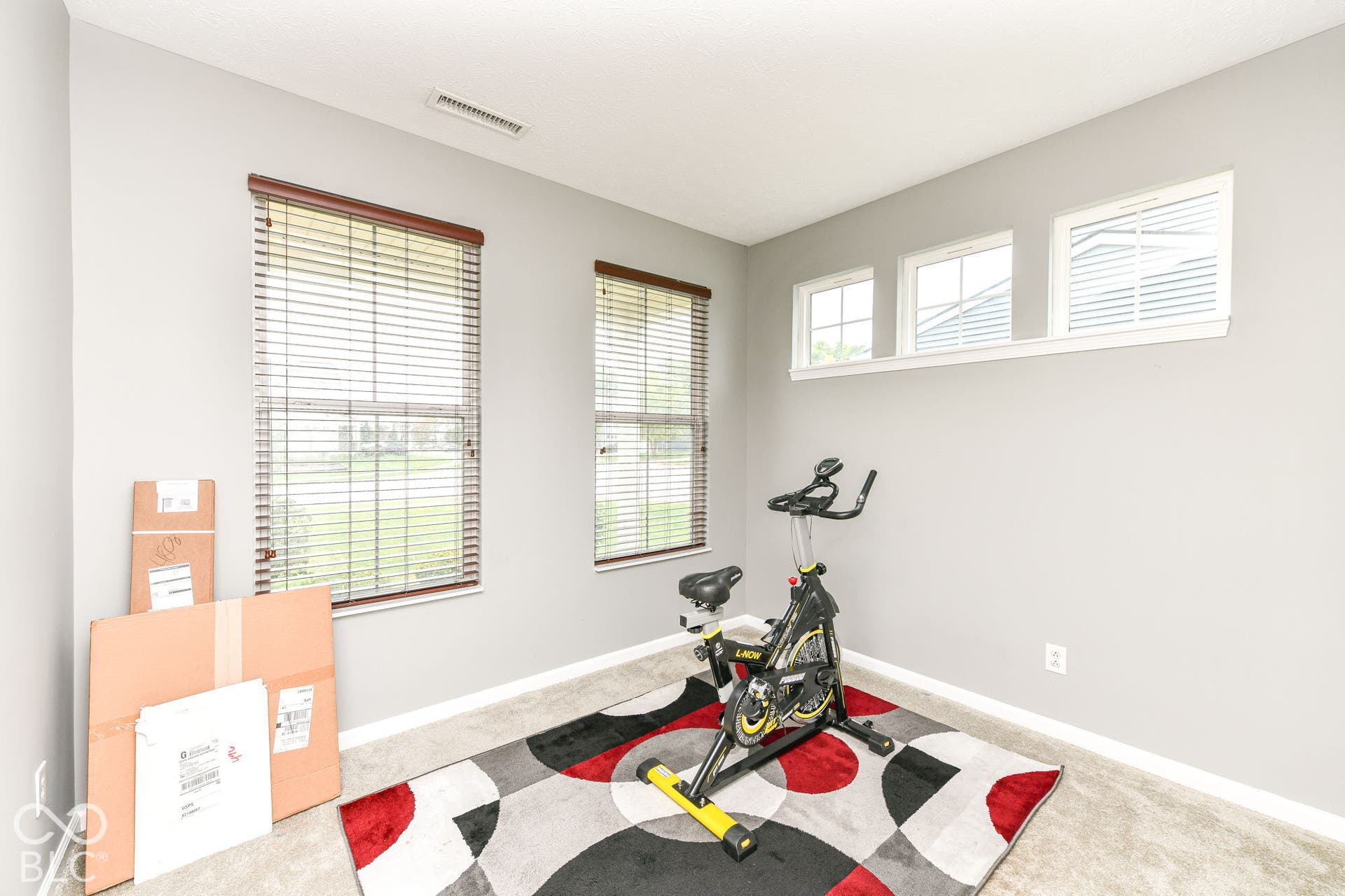 Light gray wall paint, white trim, and carpeting