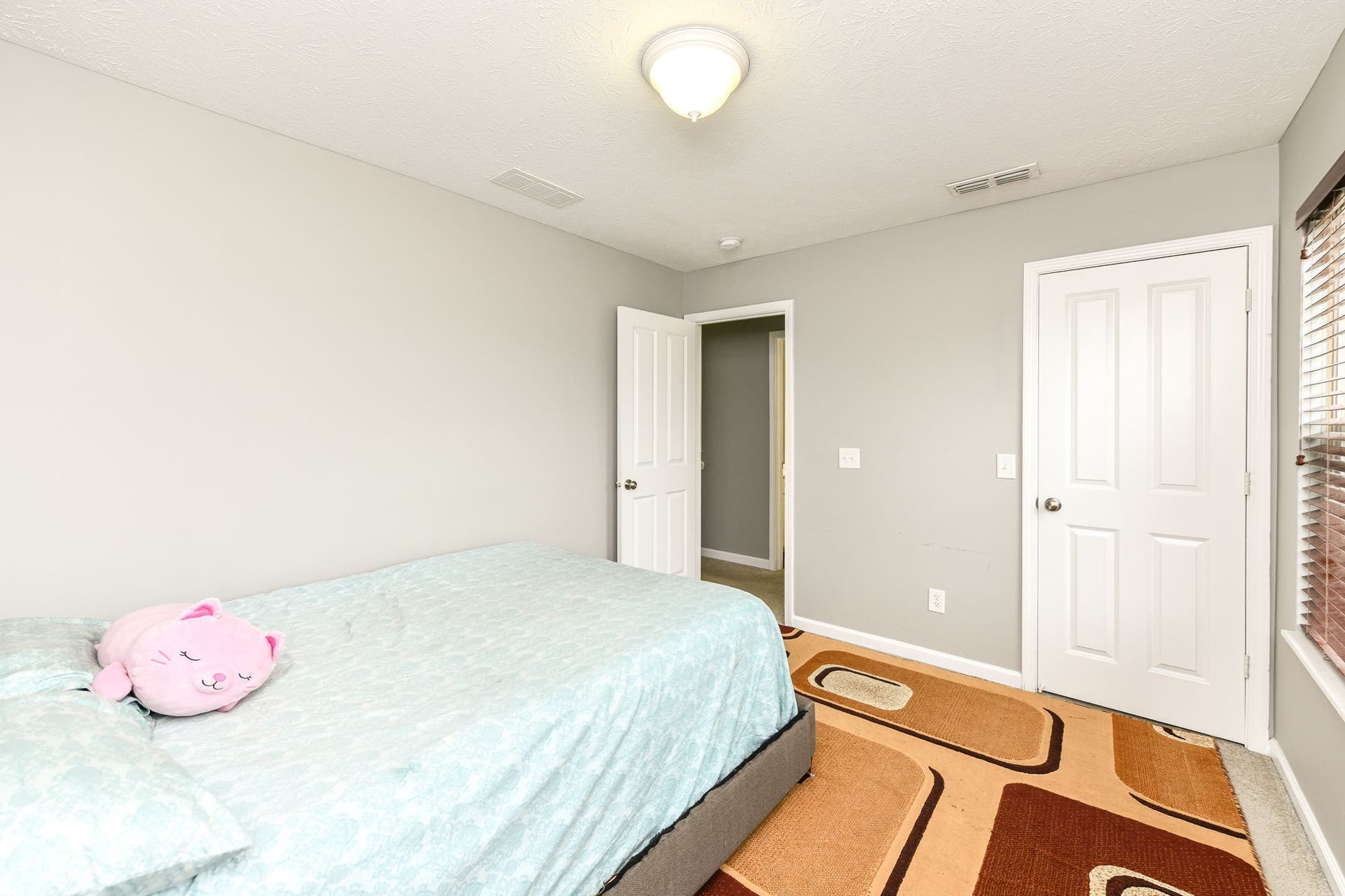 Light gray wall finish, white paneled doors, ceiling-mounted light fixture, window with blinds, and carpeting