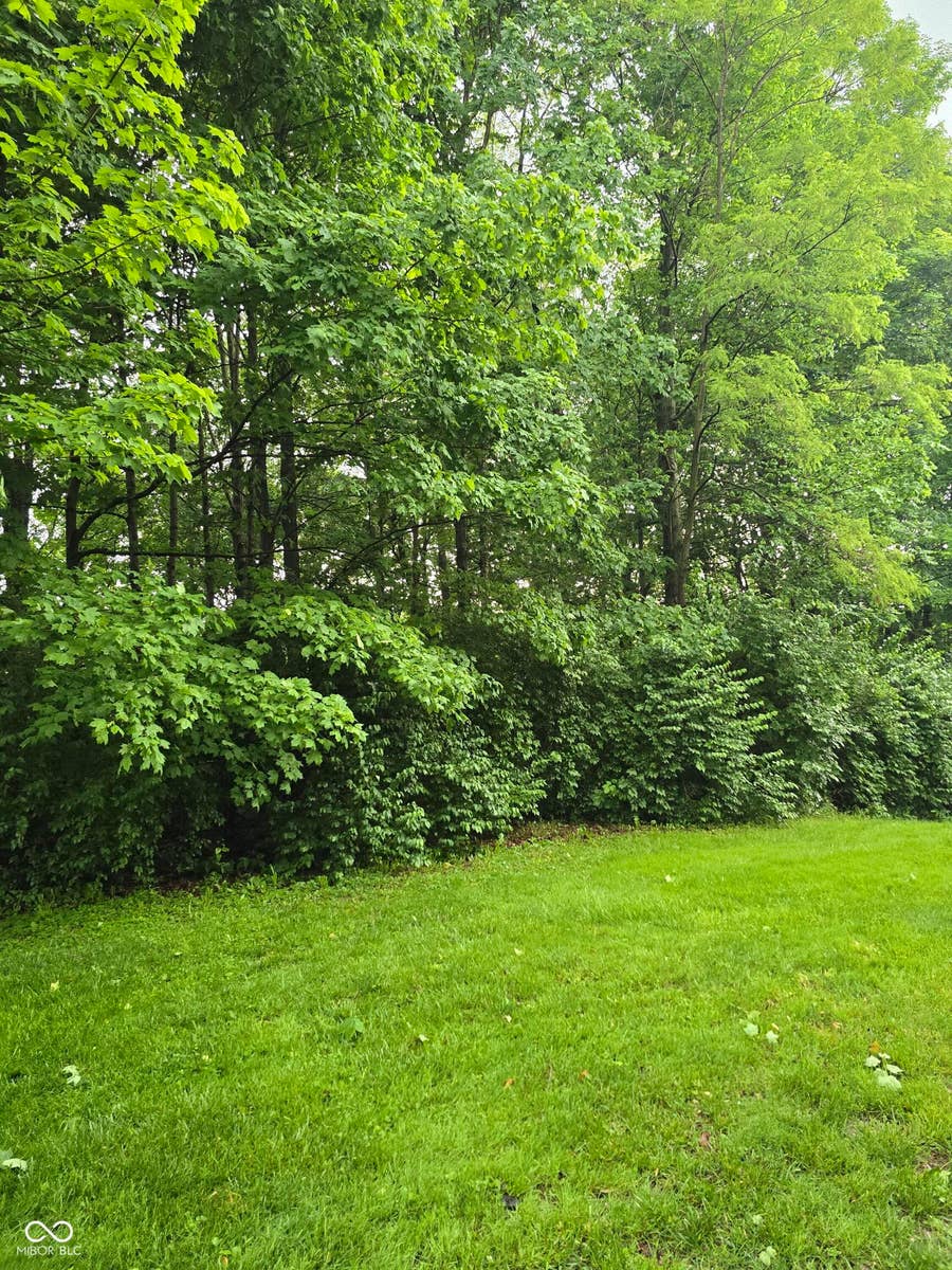 Property photo for 9895 Irishmans Run Lane, Zionsville, IN