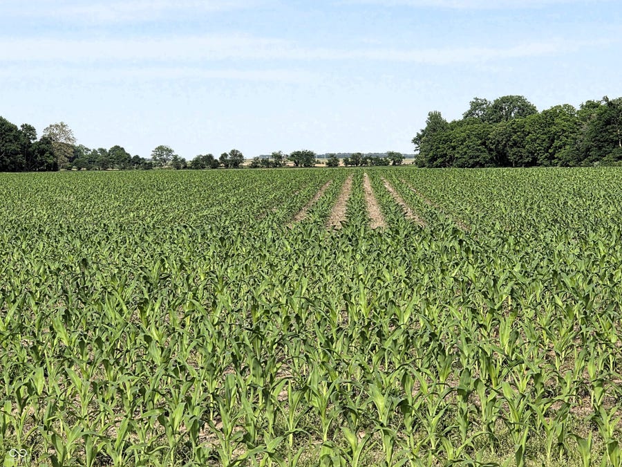 Property photo for 0 N State Road 75, North Salem, IN
