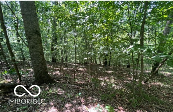 Property photo for 0 Cherry Court, Martinsville, IN