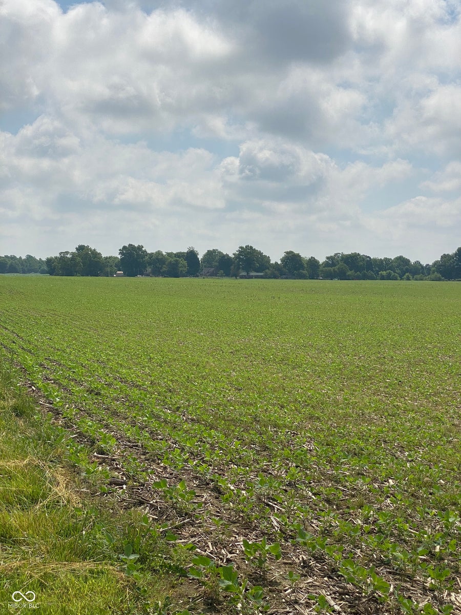Property photo for TBD E State Road 236, North Salem, IN