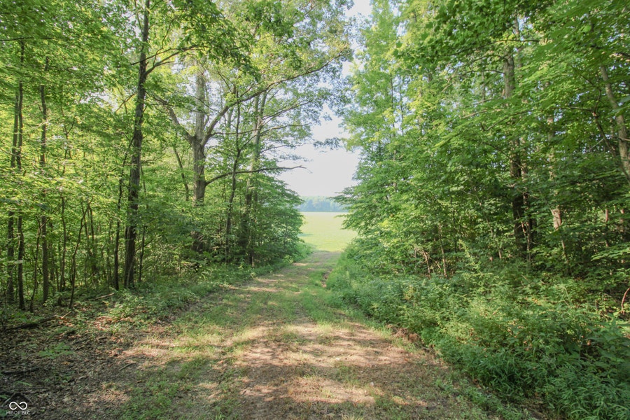 Property photo for 0 S County Road 650 E, Butlerville, IN