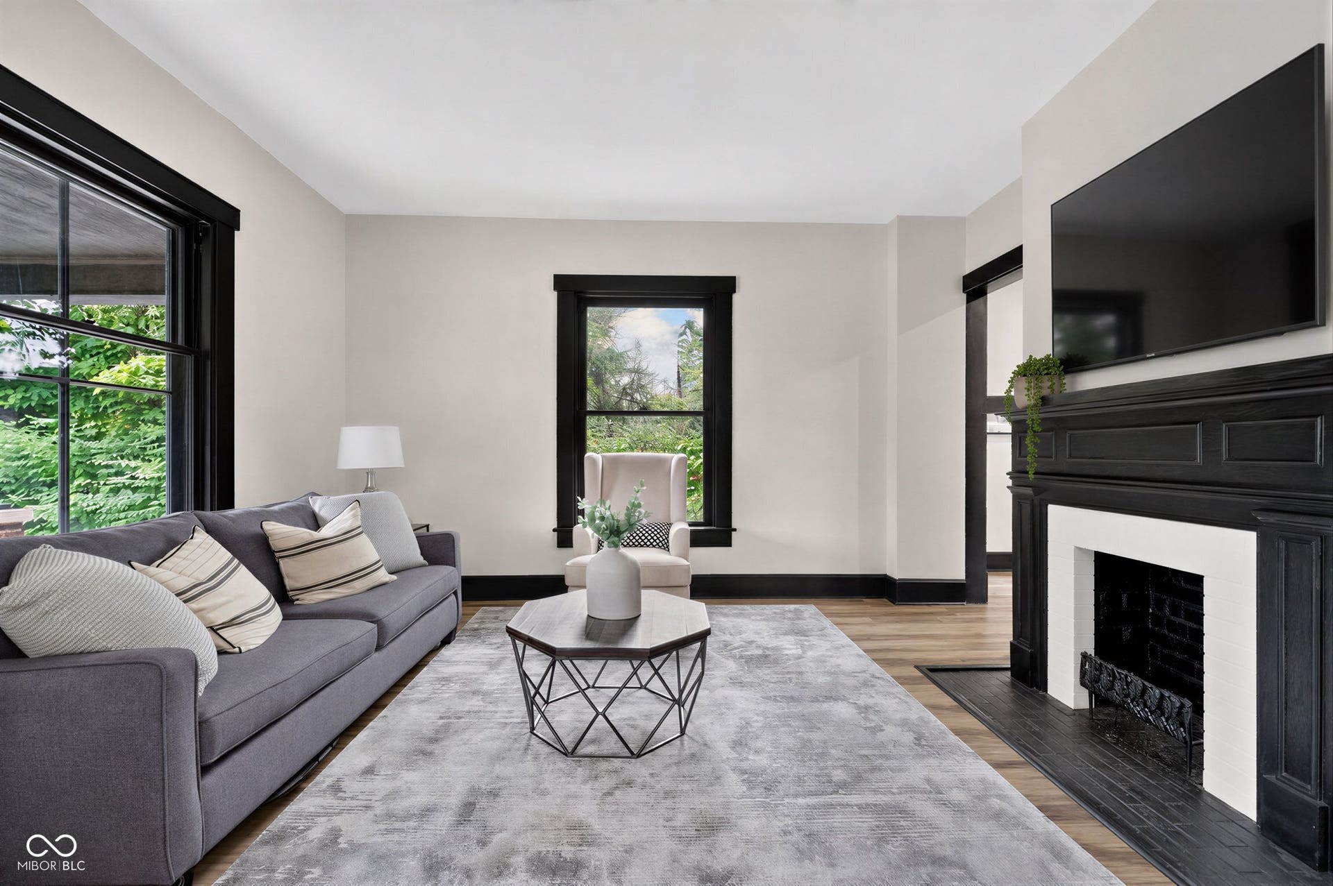 Virtually Altered - Living area featuring light-toned walls, wood-finish flooring, and black trim