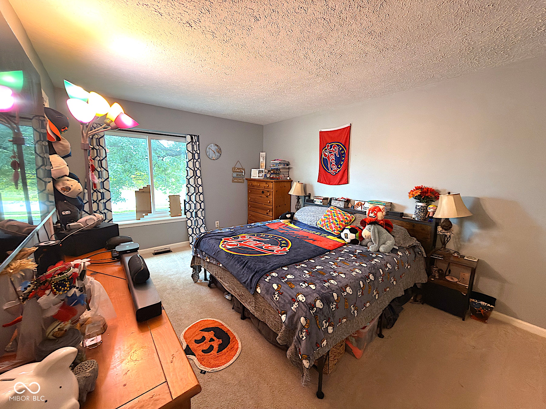 9102 Fireside, Indianapolis, IN 46250 Primary Bedroom