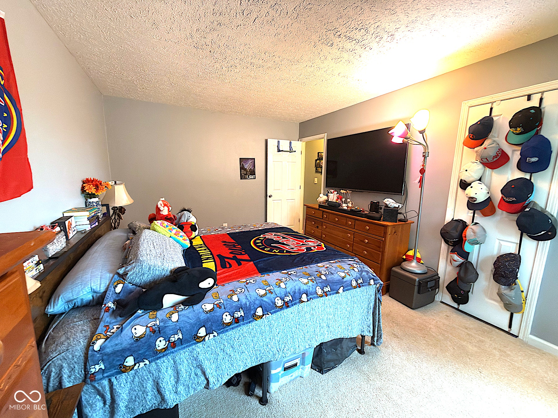 9102 Fireside, Indianapolis, IN 46250 Primary Bedroom