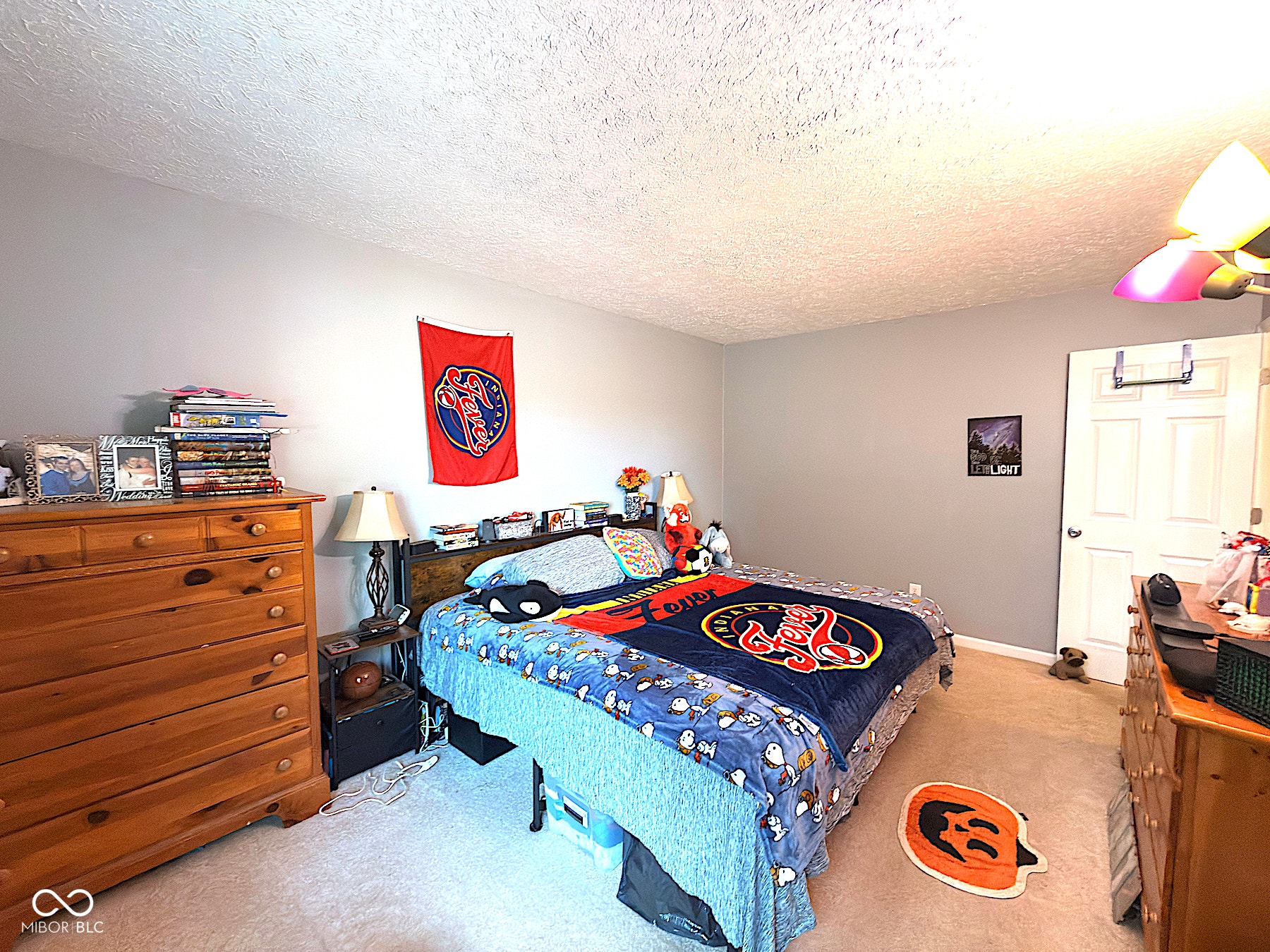 9102 Fireside, Indianapolis, IN 46250 Primary Bedroom