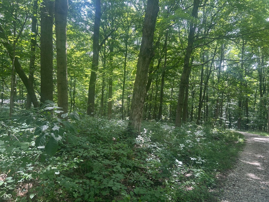 Property photo for 0 Catfish Drive, Nineveh, IN