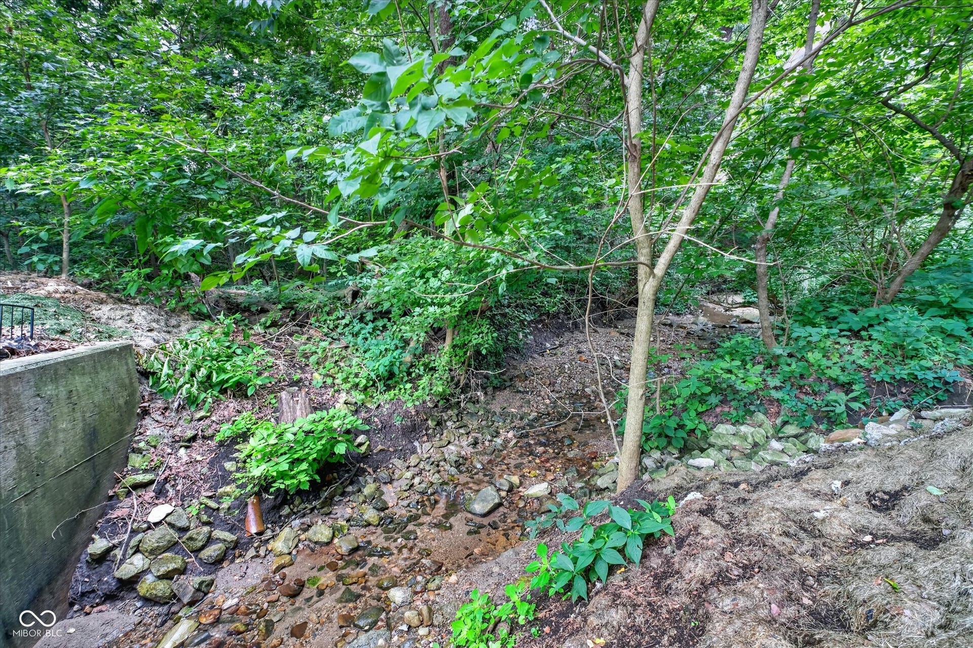 1319 Cool Creek Drive, Carmel, IN 46033