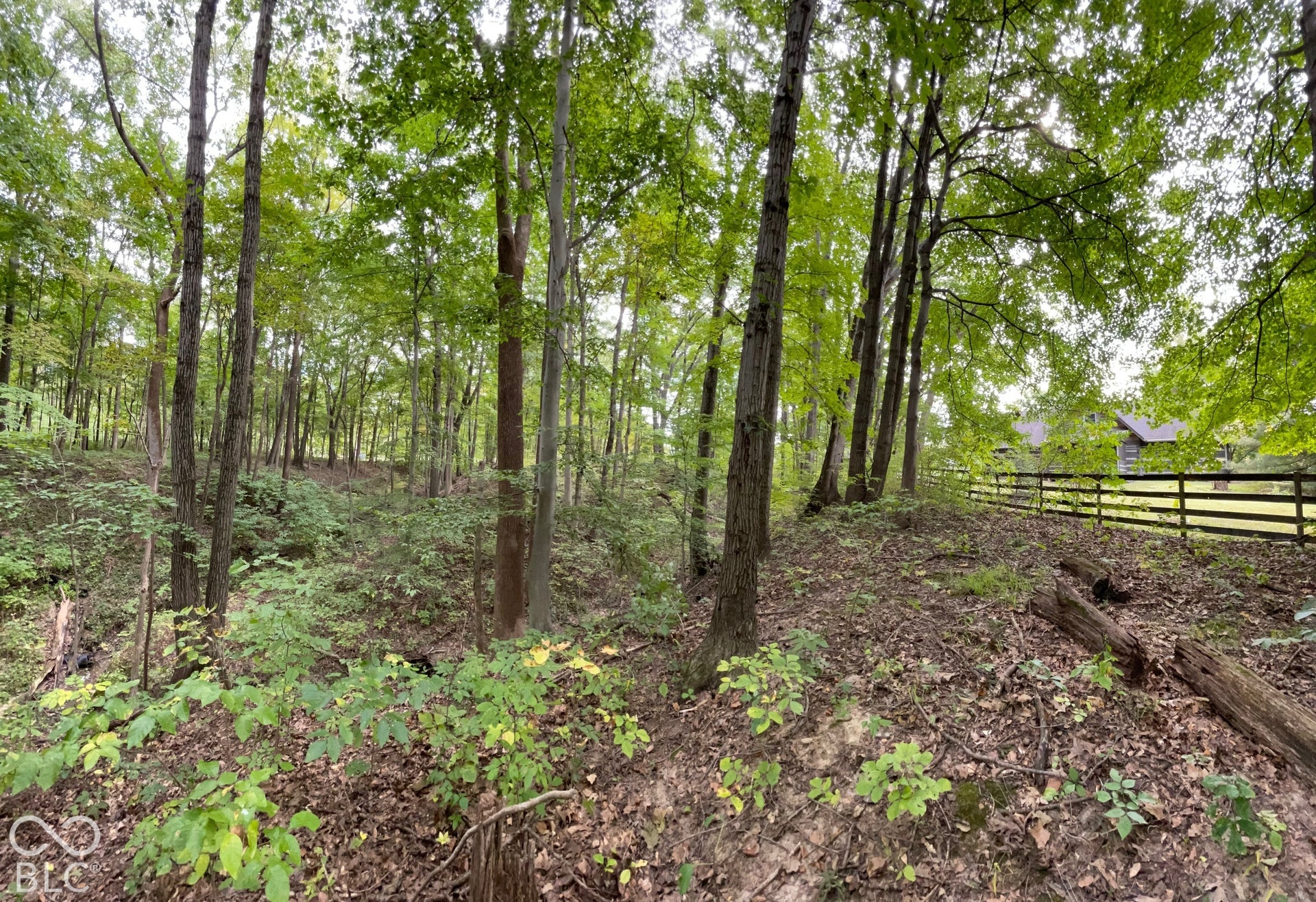 778 W Gasburg Lane, Mooresville, IN 46158