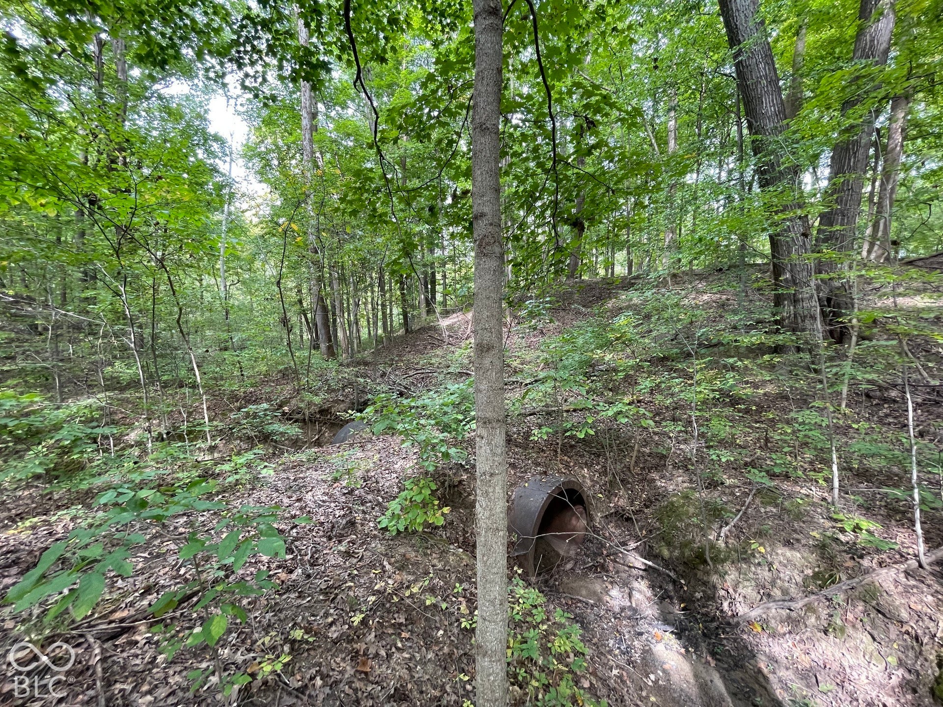 778 W Gasburg Lane, Mooresville, IN 46158