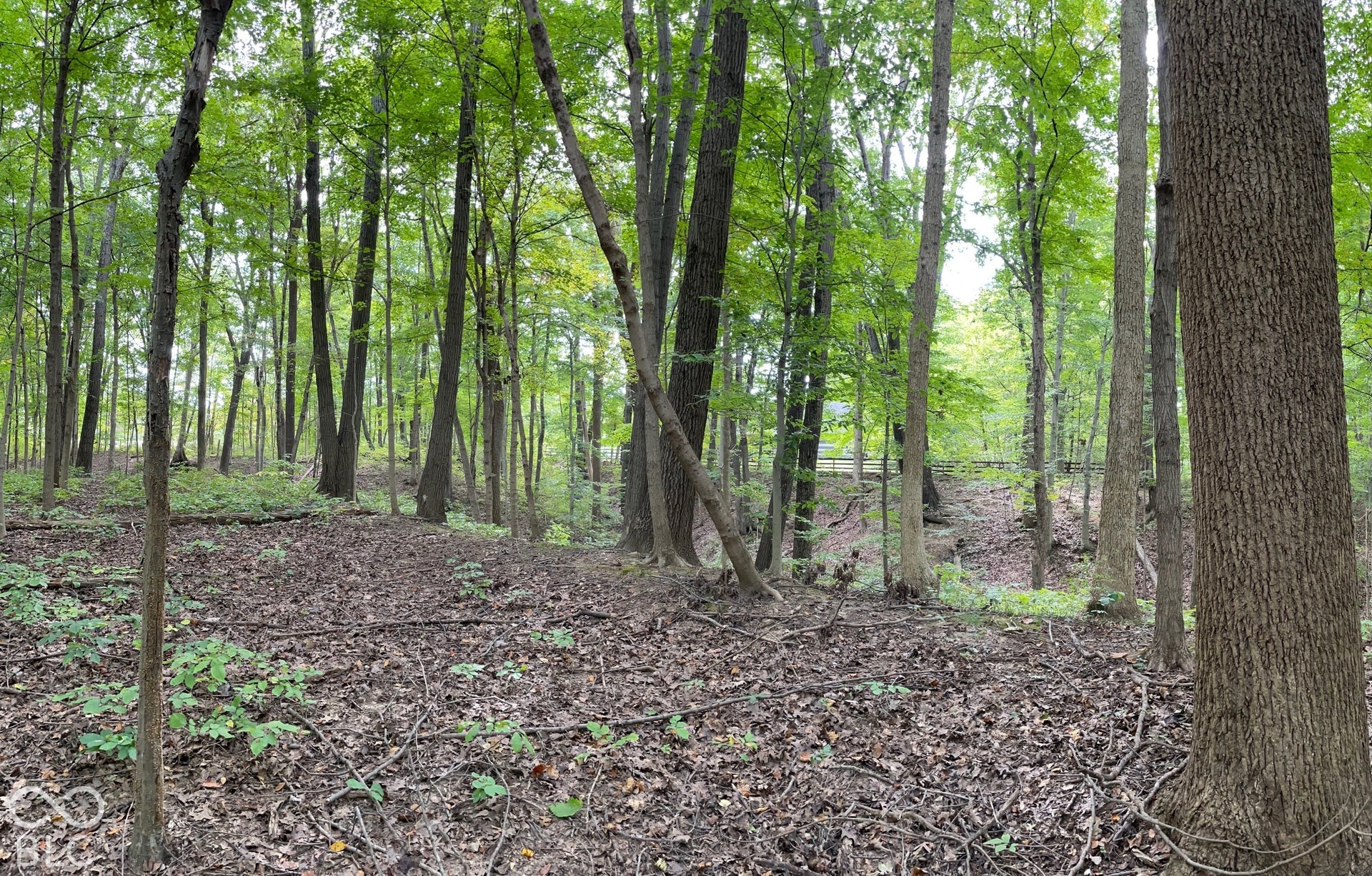 778 W Gasburg Lane, Mooresville, IN 46158
