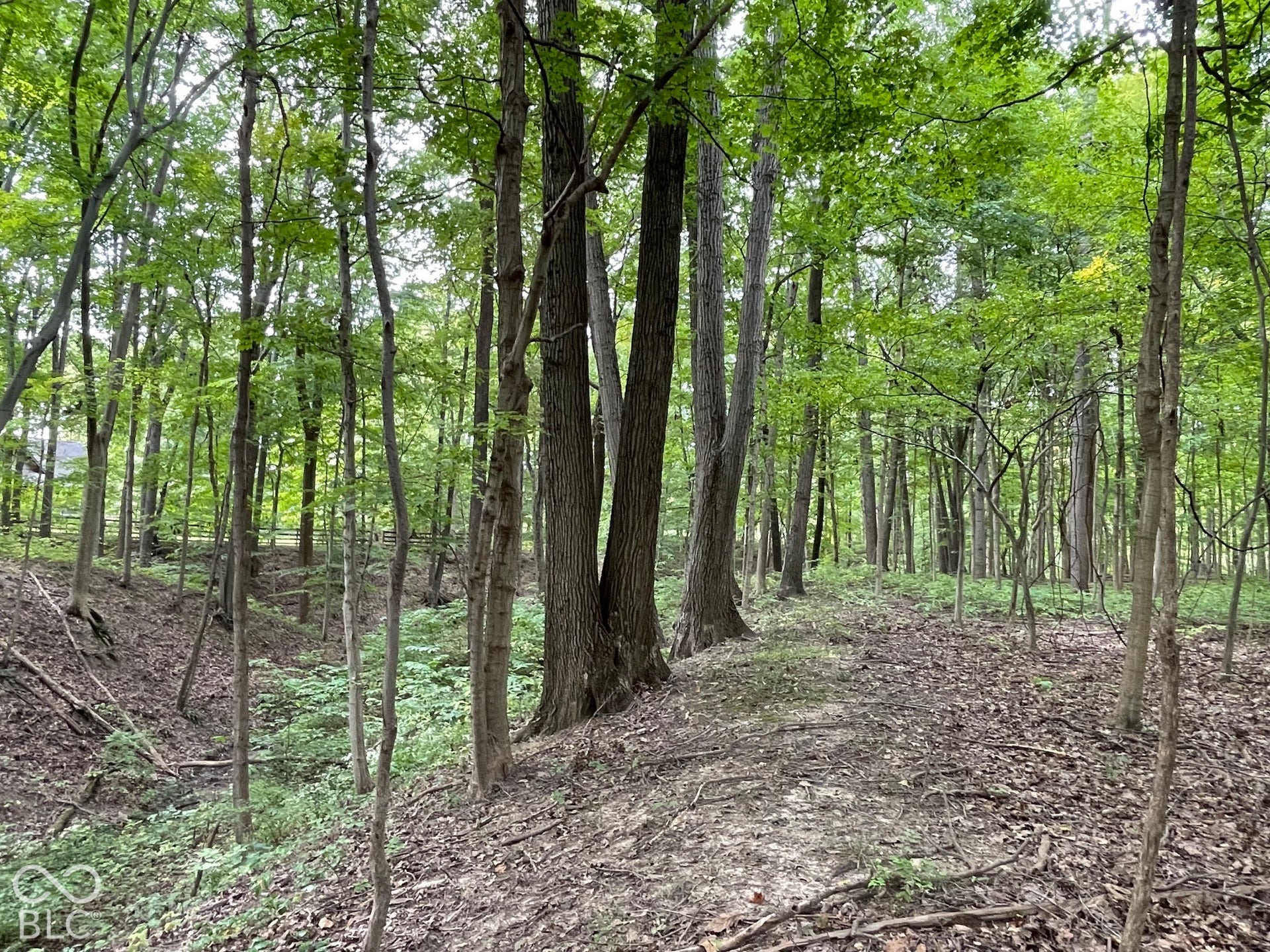 778 W Gasburg Lane, Mooresville, IN 46158