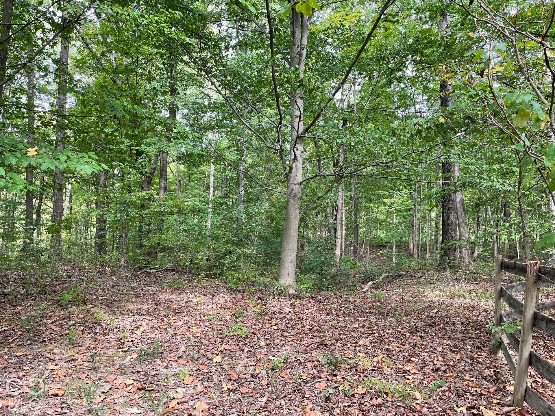 778 W Gasburg Lane, Mooresville, IN 46158