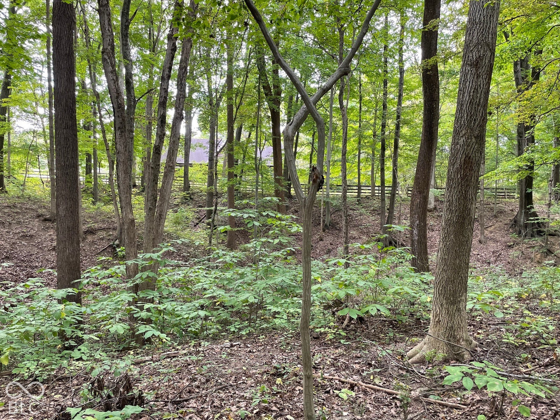 778 W Gasburg Lane, Mooresville, IN 46158