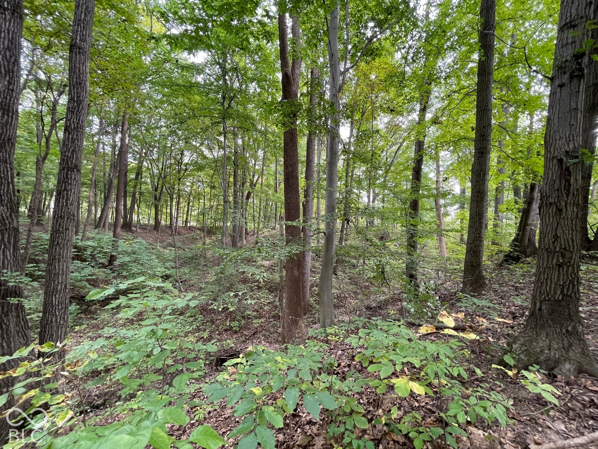 778 W Gasburg Lane, Mooresville, IN 46158