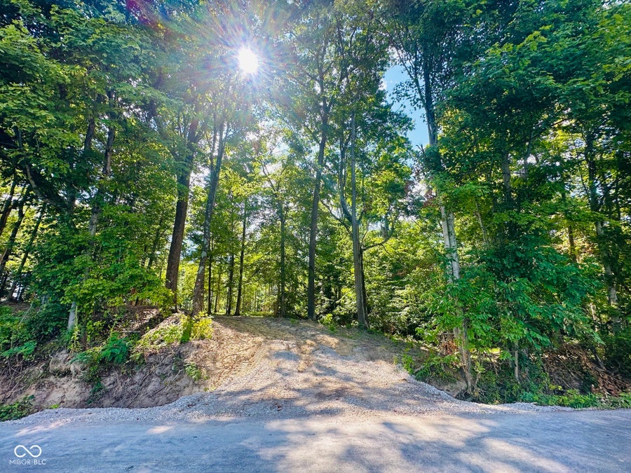 Property photo for Tract C W Private Rd 775 S, Commiskey, IN