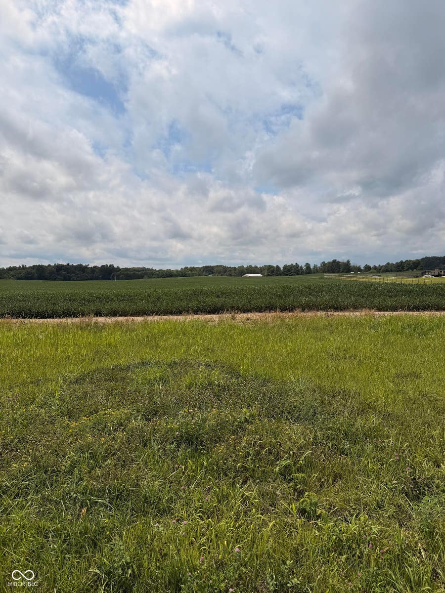 Property photo for 3 West CR 990 North Tract "L", Elizabethtown, IN