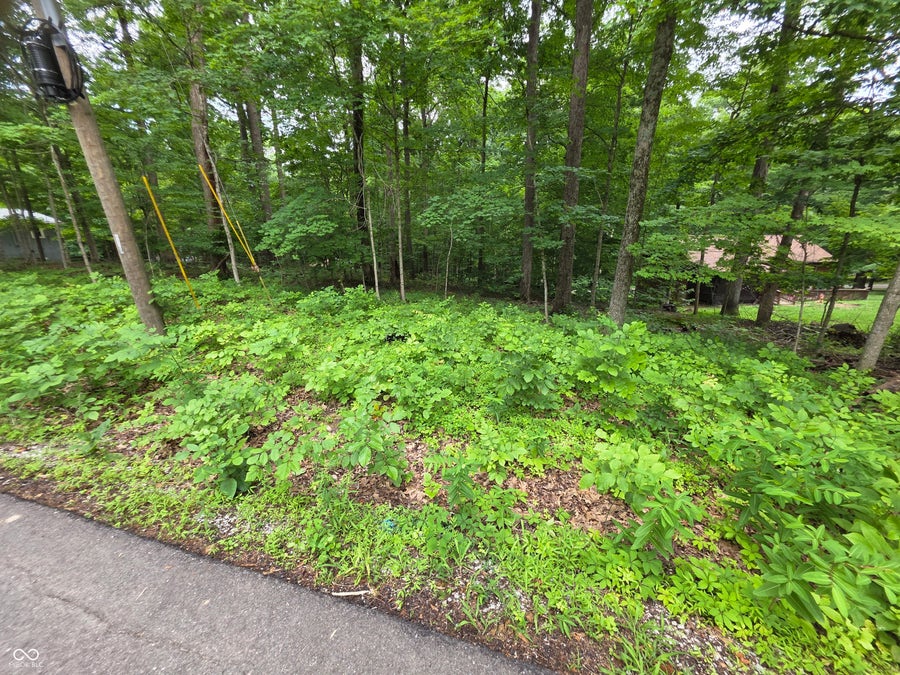 Property photo for 0 Bass Drive, Nineveh, IN