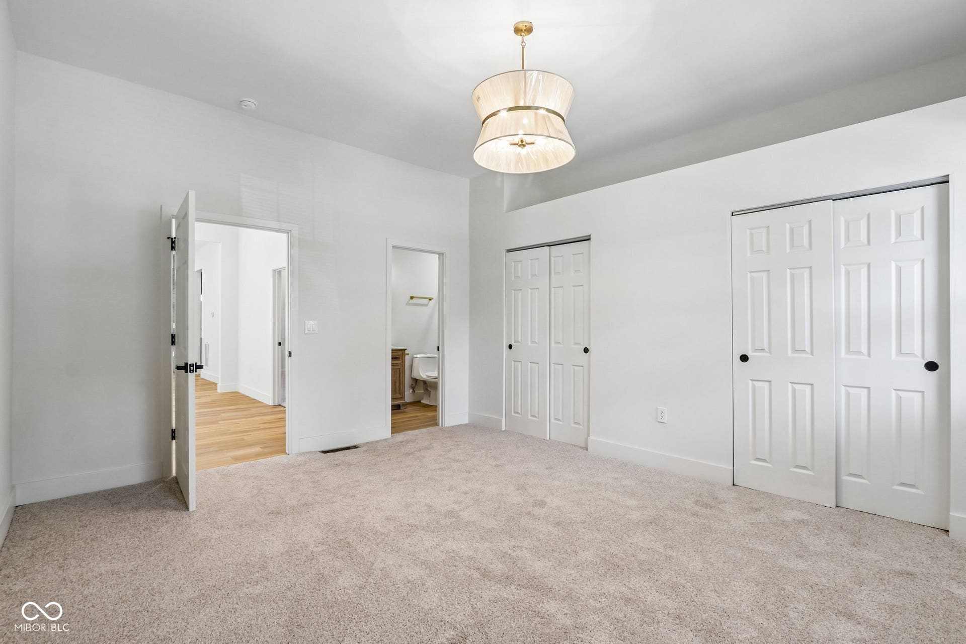 Light-colored carpeting, two sets of white bi-fold closet doors, a contemporary ceiling light fixture, and white painted walls