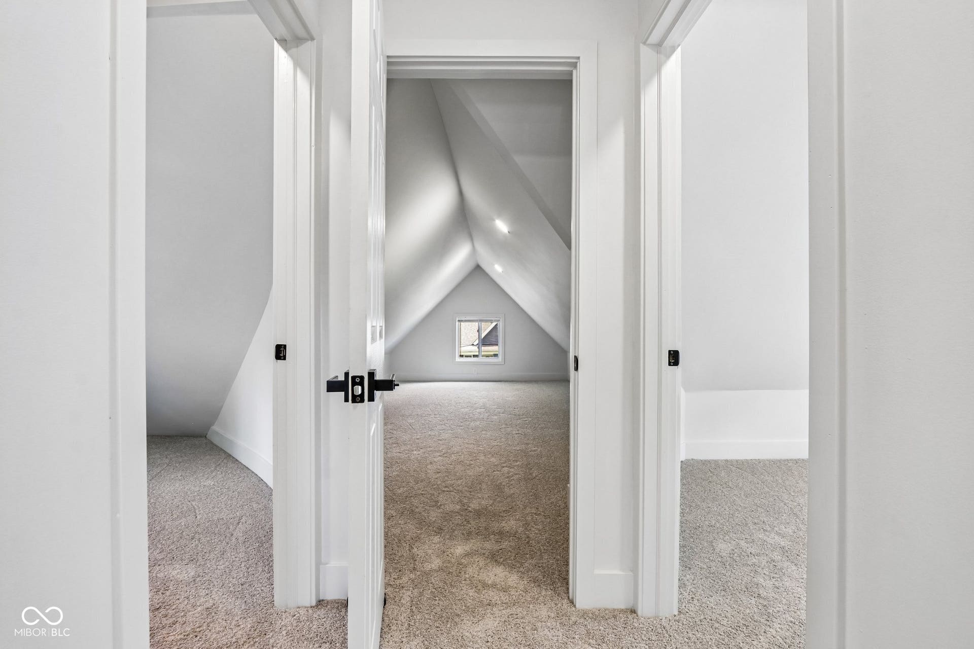 Light gray carpeting, multiple doorways with white trim, and matte black door hardware