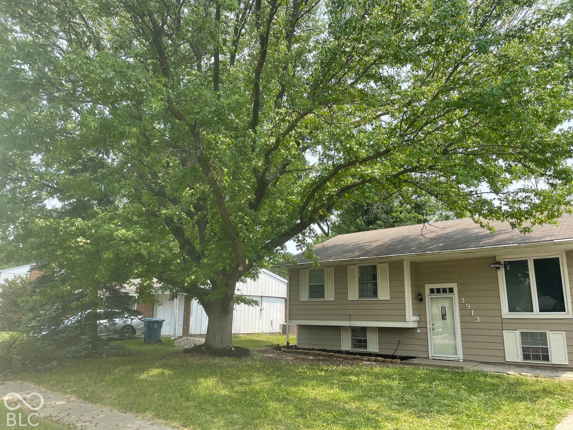 3913 Eisenhower Drive, Indianapolis, IN 46254 Split-level residence featuring tan siding, white window trim, and a prominent mature tree