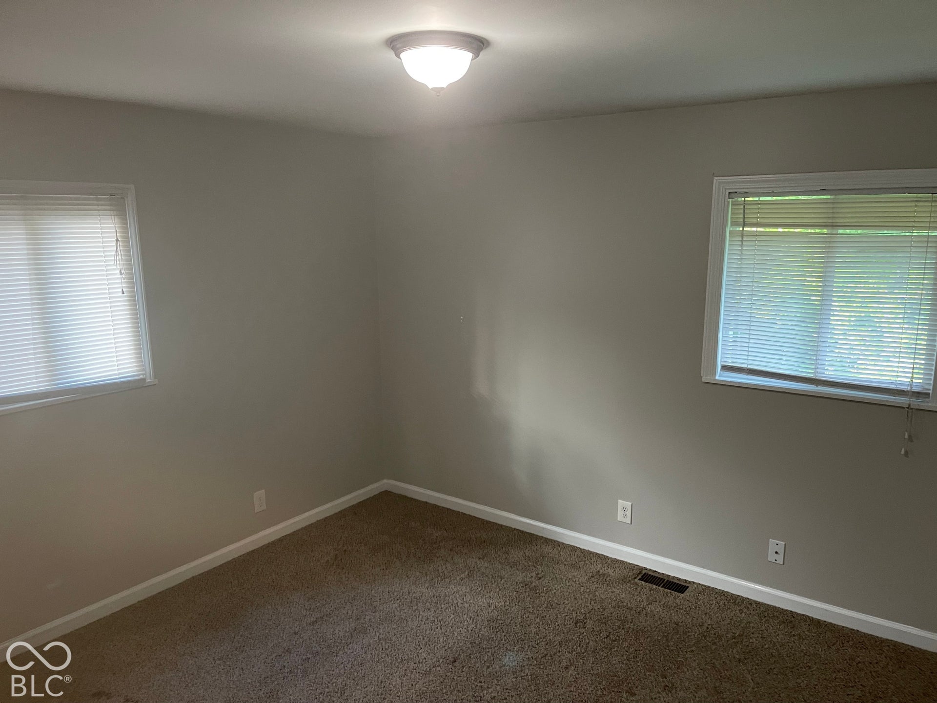 3913 Eisenhower Drive, Indianapolis, IN 46254 Neutral wall color, carpet flooring, two windows with blinds, and flush-mount ceiling light fixture