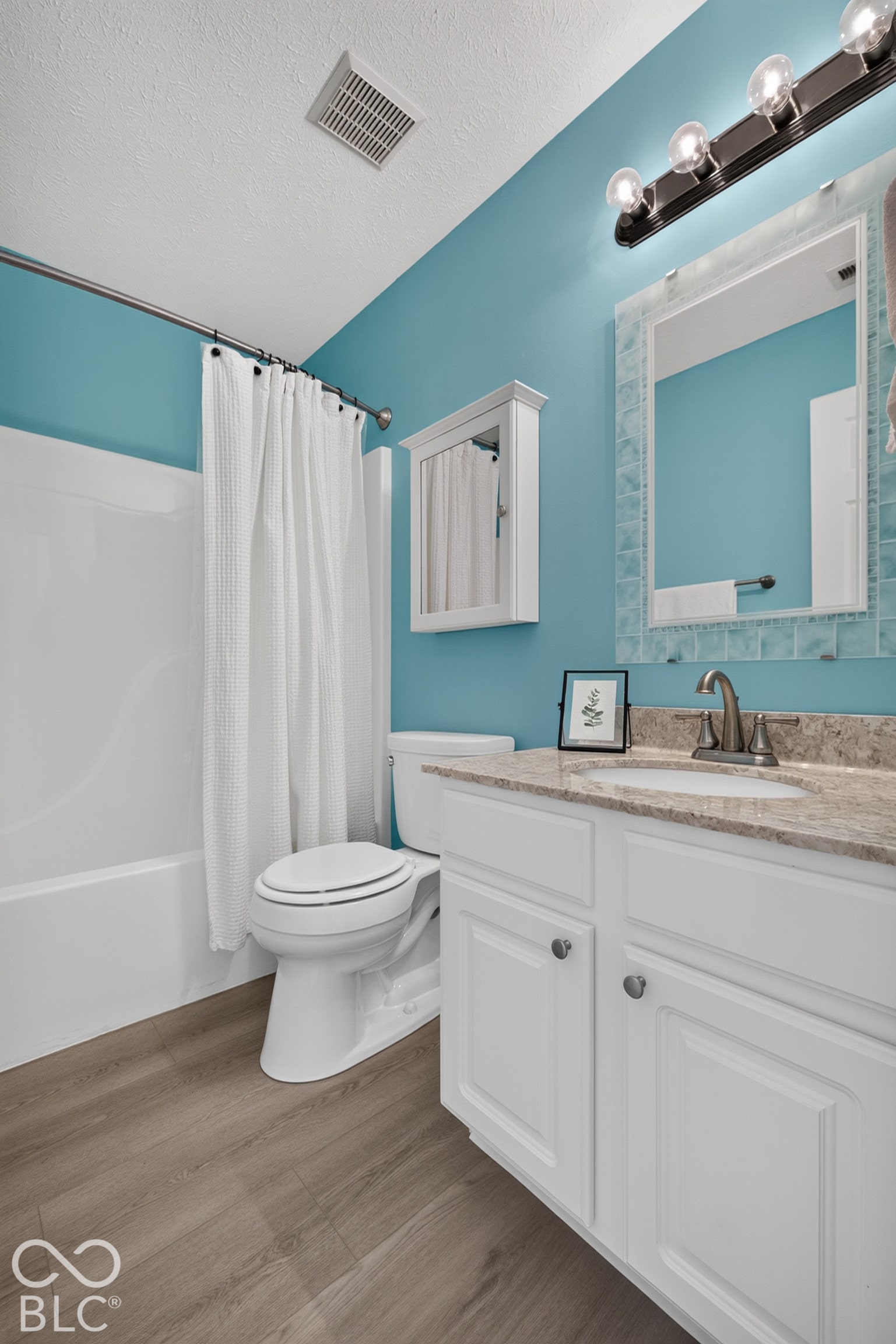 17214 Meggs, Westfield, IN 46062 Bathroom