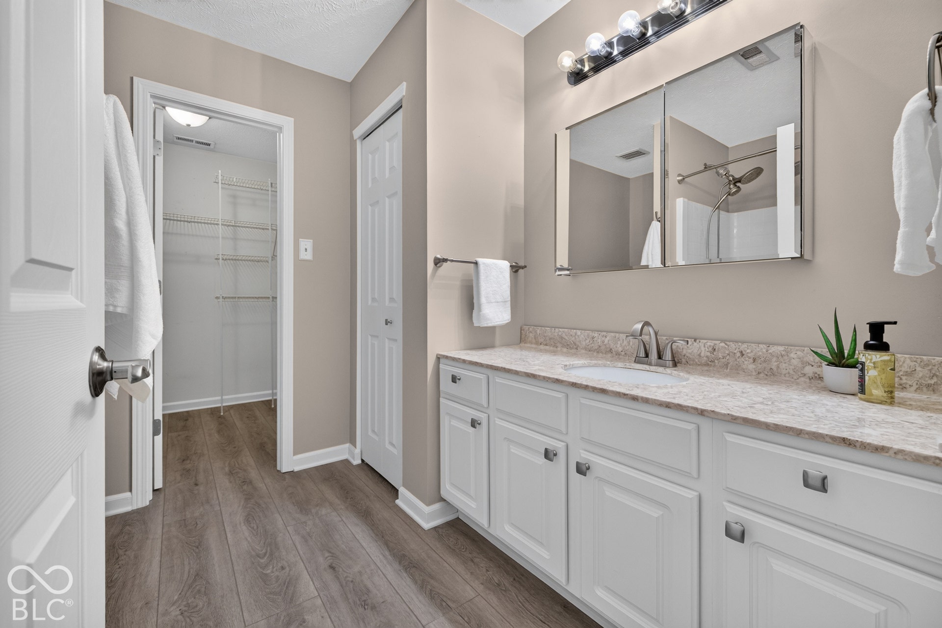 17214 Meggs, Westfield, IN 46062 Primary Bathroom