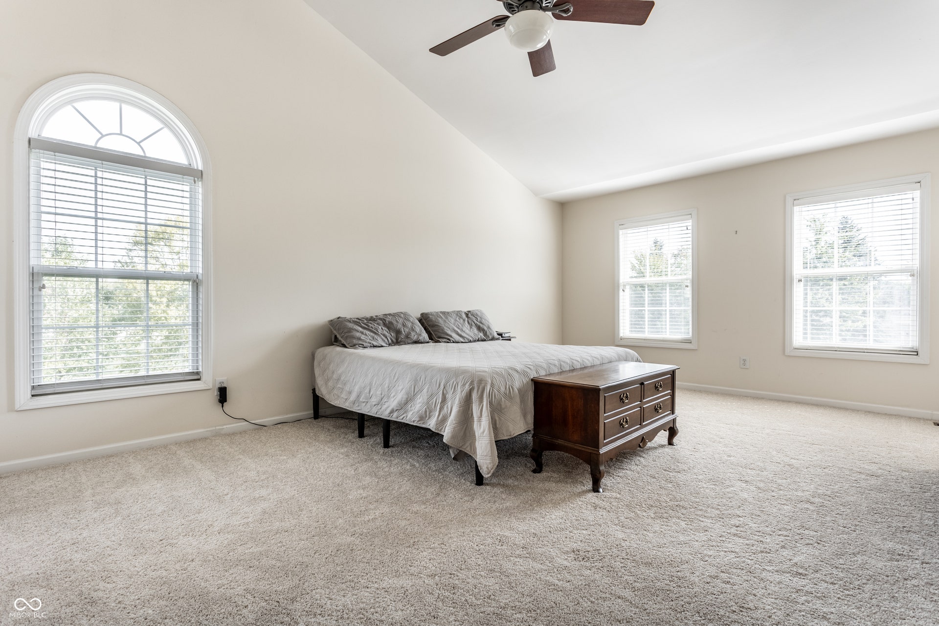 Vaulted ceiling, arched window, multiple windows, ceiling fan, and light-colored carpeting