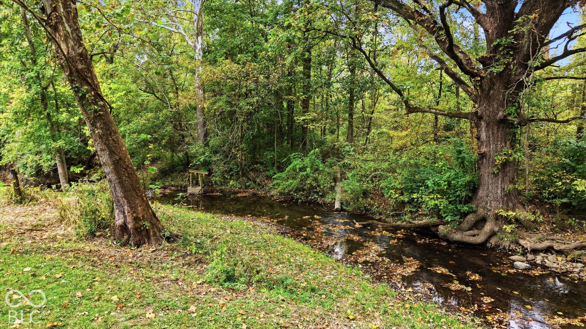 Part of the property crosses and owns both sides of Little Eagle Creek