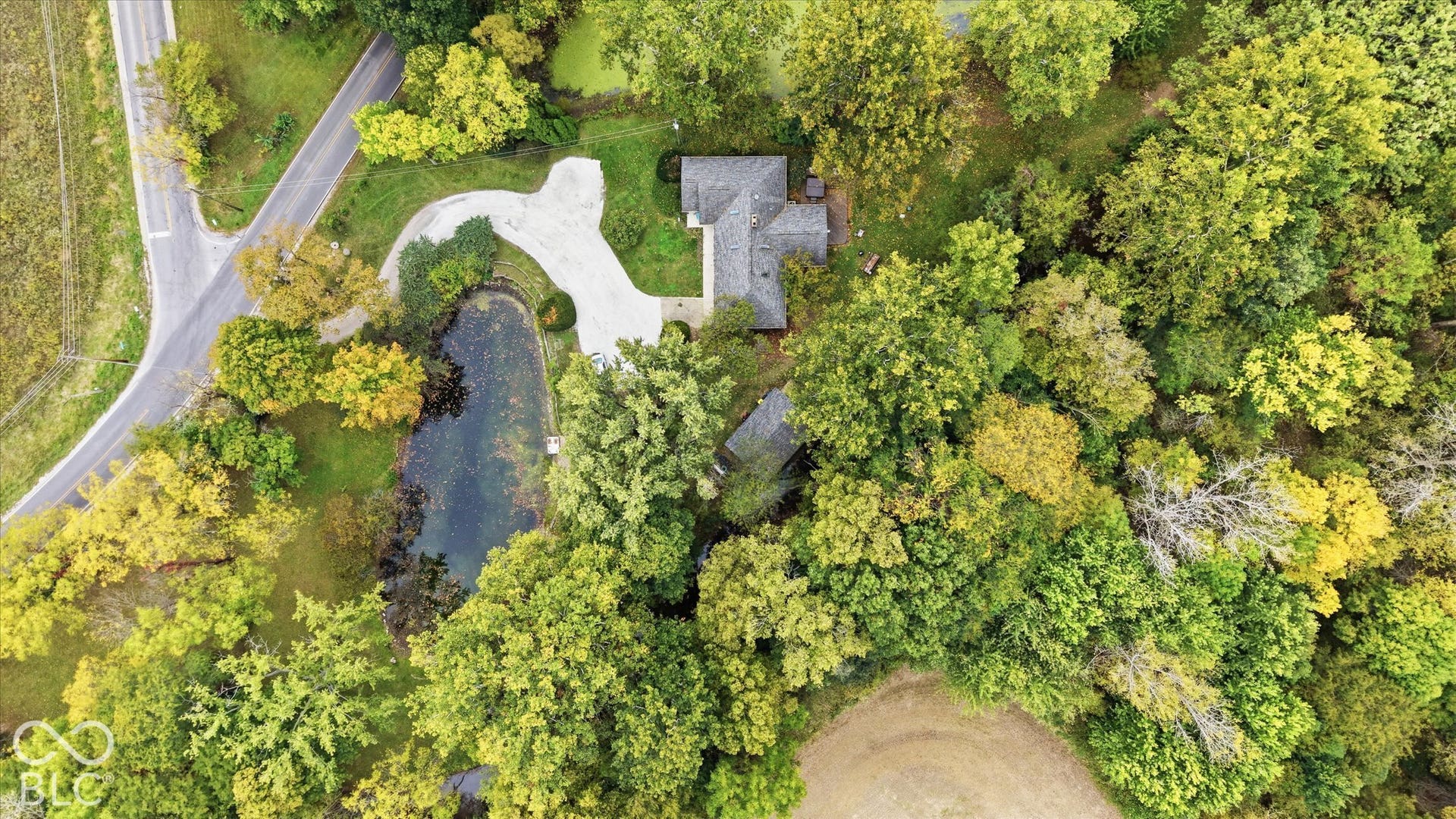Expansive property featuring mature trees, a private pond, and a winding driveway