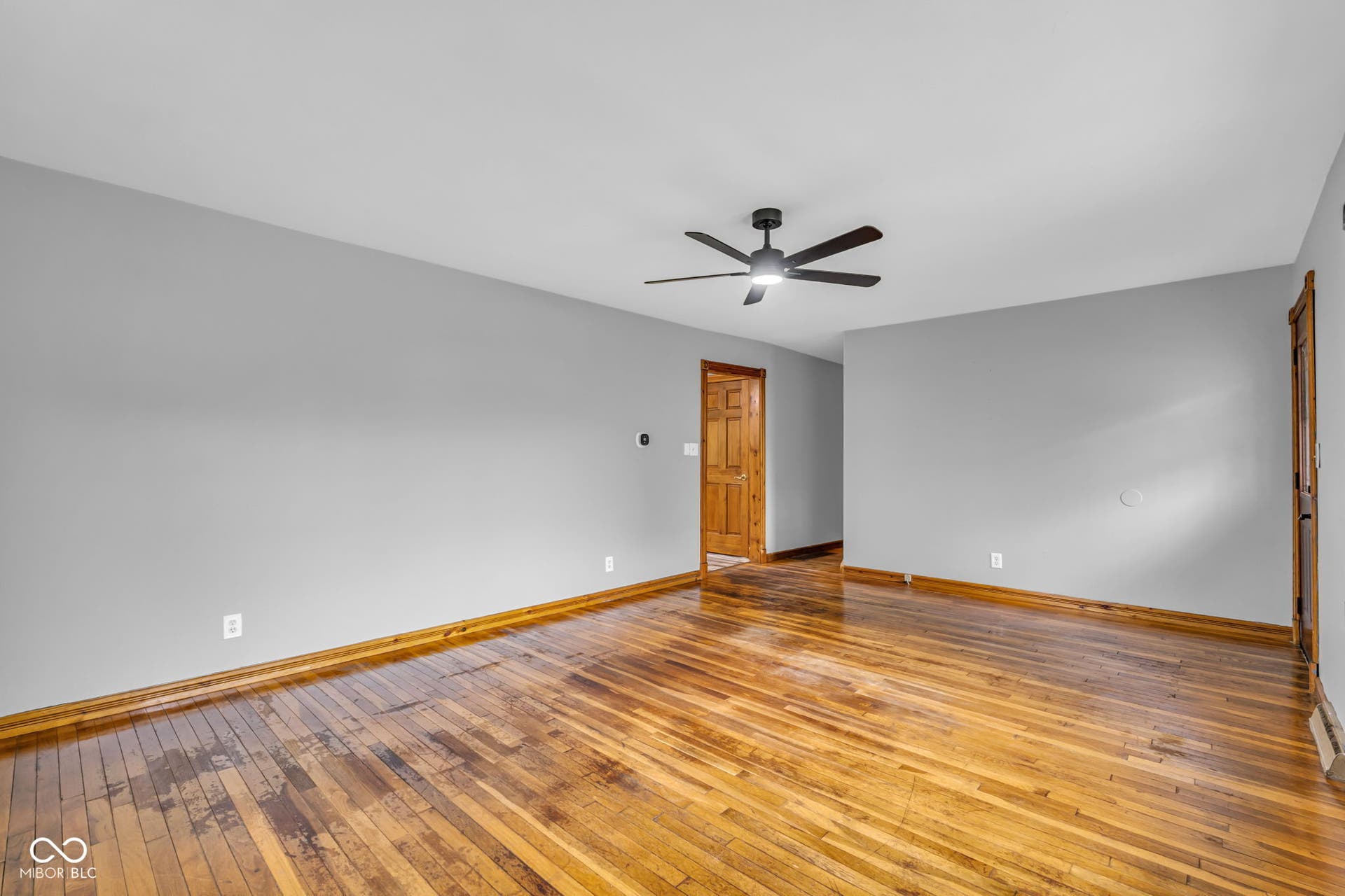 Hardwood flooring with a glossy finish, light gray wall paint, and a matte black ceiling fan