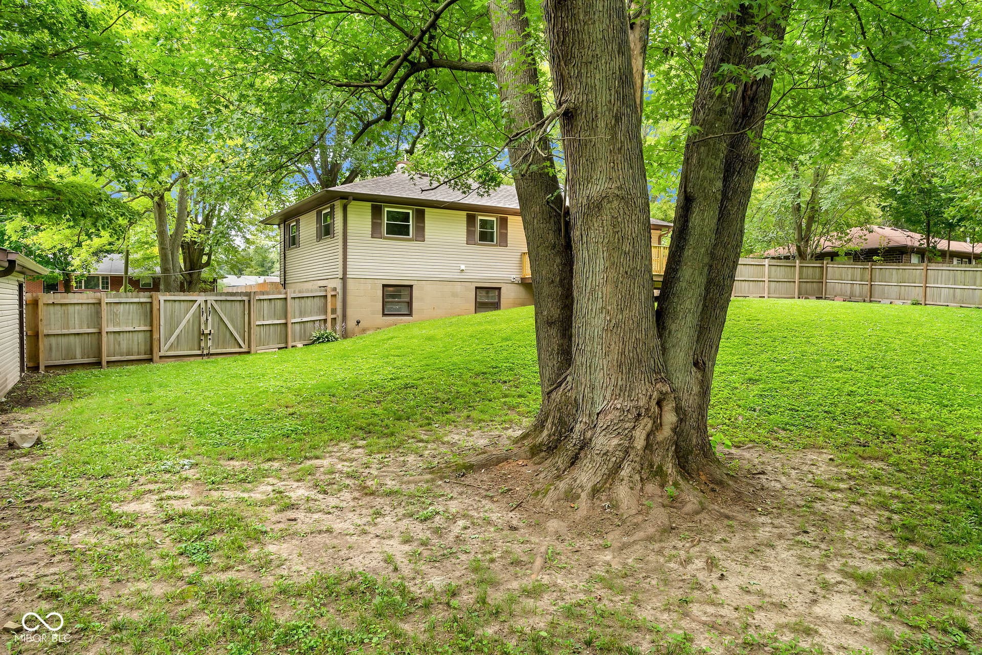 Expansive rear yard featuring green lawn, mature trees, and privacy fencing